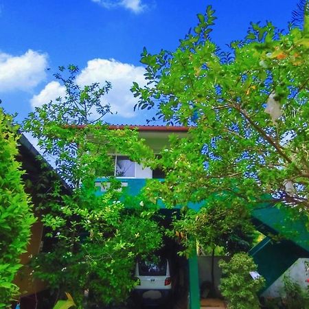 Villa Dragon House Boossa Ngoại thất bức ảnh